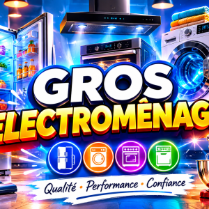 Gros Électroménager