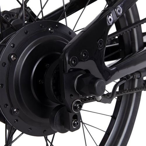 Velo-electrique-avec-courroie-en-carbone-Carbo-BV-Modele-X-250-W-Noir-2.jpg