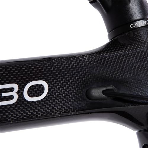 Velo-electrique-avec-courroie-en-carbone-Carbo-BV-Modele-X-250-W-Noir-3.jpg