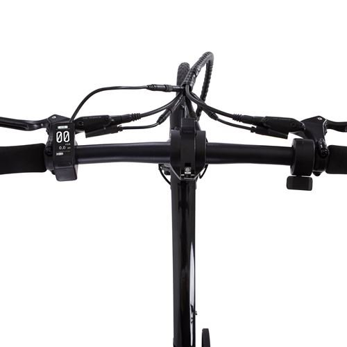 Velo-electrique-avec-courroie-en-carbone-Carbo-BV-Modele-X-250-W-Noir-6.jpg