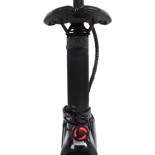 Velo-electrique-avec-courroie-en-carbone-Carbo-BV-Modele-X-250-W-Noir-8.jpg